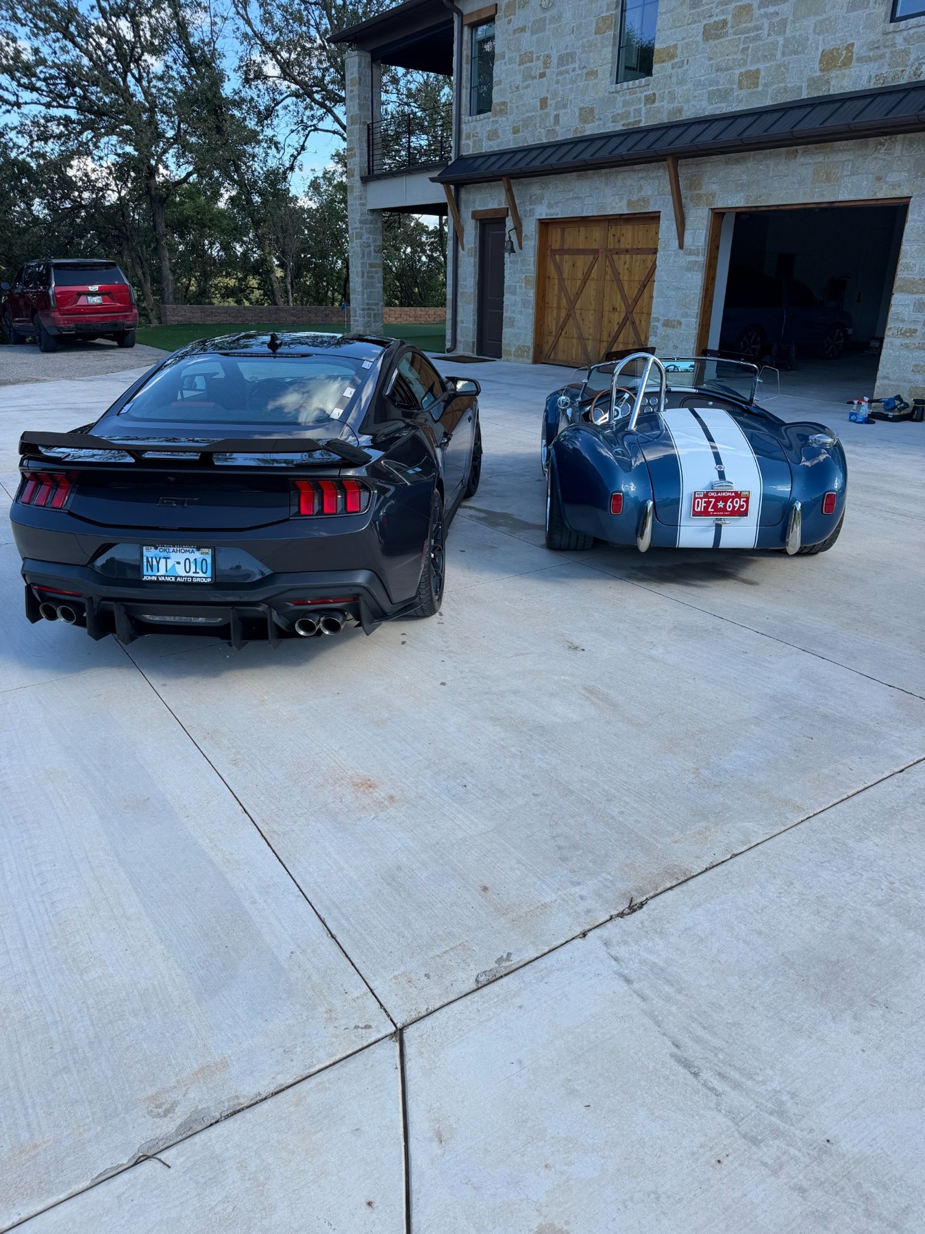 Rear view of the Cobra and Mustang