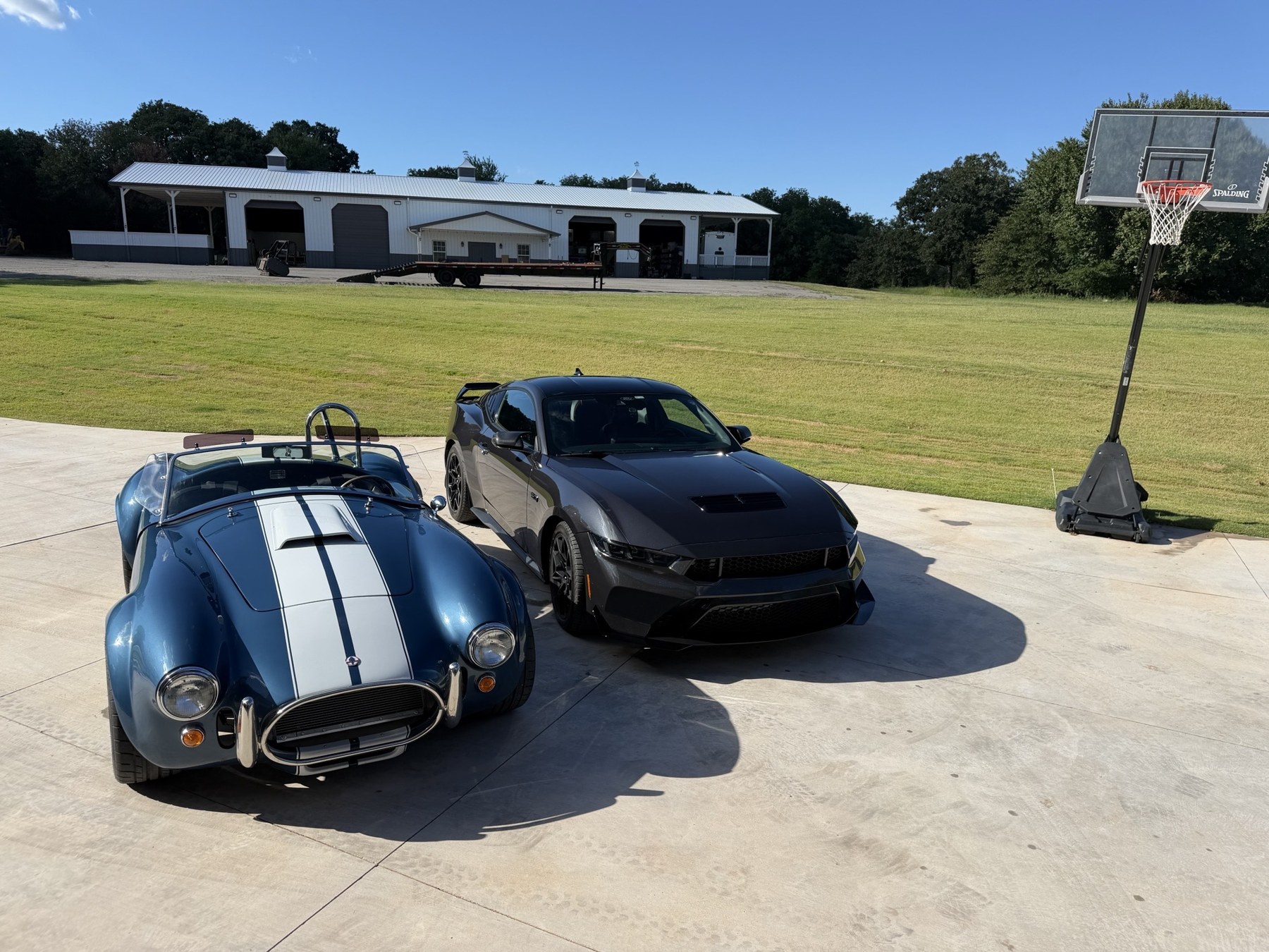 Cobra and Mustang together